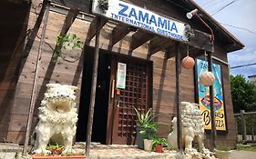 Zamamia International Guesthouse